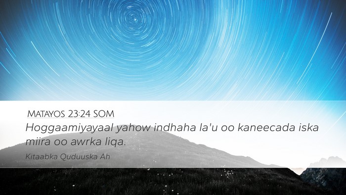 Matayos 23:24 SOM Bible Verse Image