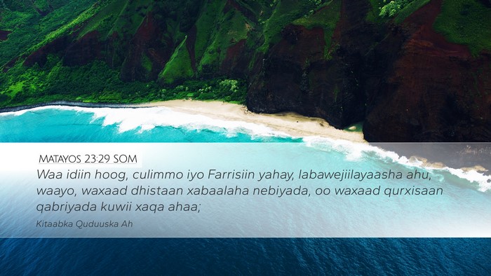 Matayos 23:29 SOM Bible Verse Image