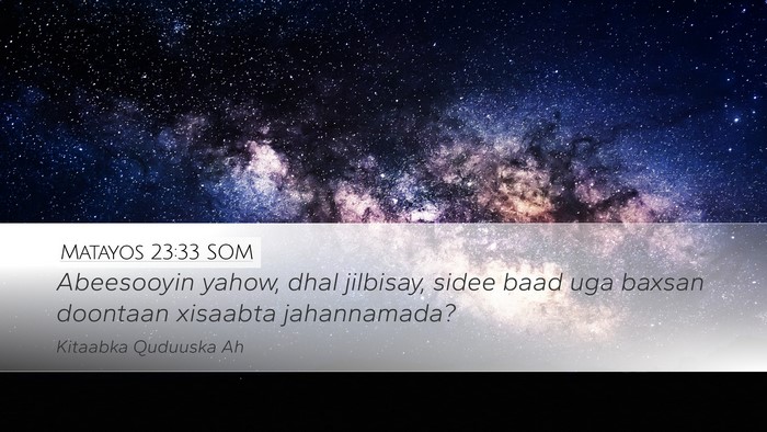 Matayos 23:33 SOM Bible Verse Image