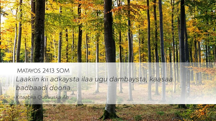 Matayos 24:13 SOM Bible Verse Image