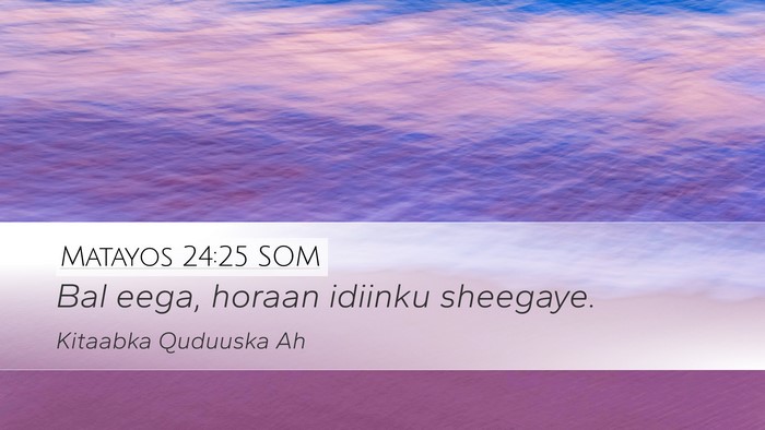 Matayos 24:25 SOM Bible Verse Image