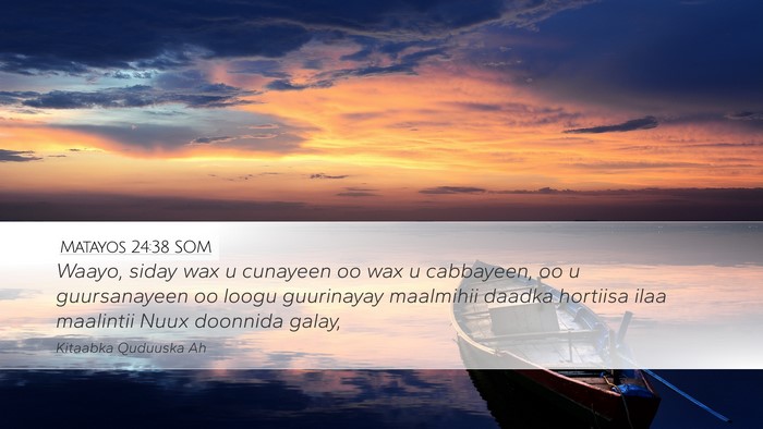 Matayos 24:38 SOM Bible Verse Image