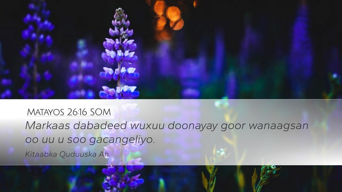 Matayos 26:16 SOM Bible Verse Image