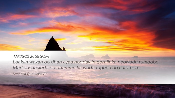 Matayos 26:56 SOM Bible Verse Image