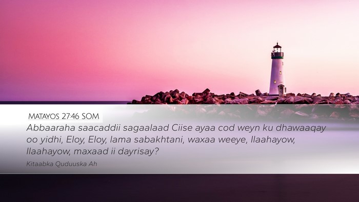 Matayos 27:46 SOM Bible Verse Image