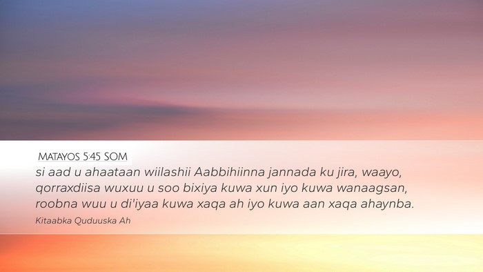 Matayos 5:45 SOM Desktop Wallpaper - si aad u ahaataan wiilashii Aabbihiinna jannada - Desktop Bible Verse Wallpaper