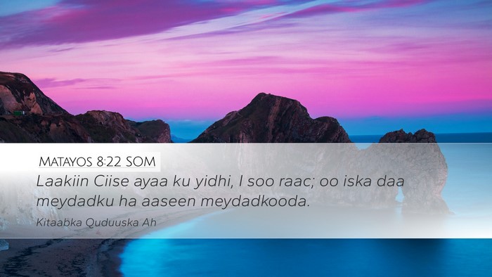 Matayos 8:22 SOM Bible Verse Image