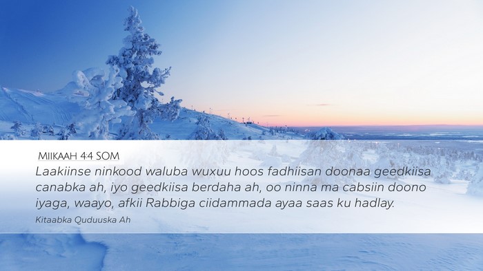 Miikaah 4:4 SOM Bible Verse Image