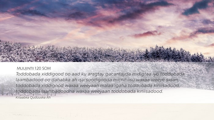 Muujintii 1:20 SOM Bible Verse Image