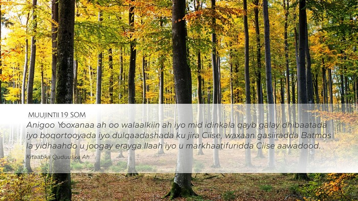 Muujintii 1:9 SOM Bible Verse Image