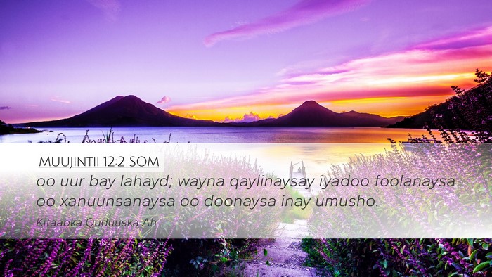 Muujintii 12:2 SOM Bible Verse Image