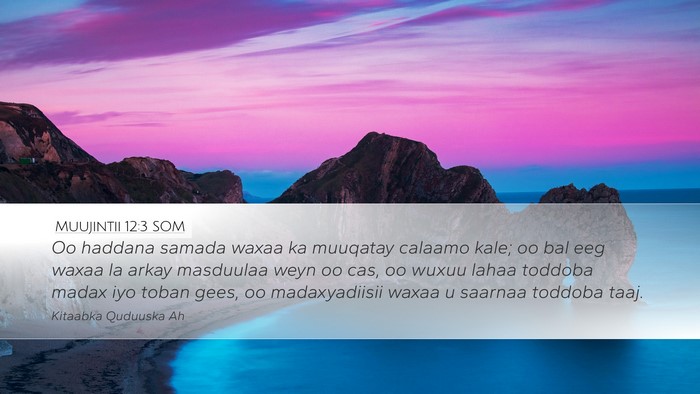 Muujintii 12:3 SOM Bible Verse Image
