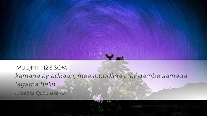 Muujintii 12:8 SOM Bible Verse Image