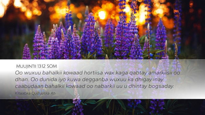 Muujintii 13:12 SOM Bible Verse Image