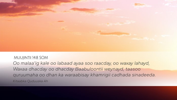 Muujintii 14:8 SOM Bible Verse Image