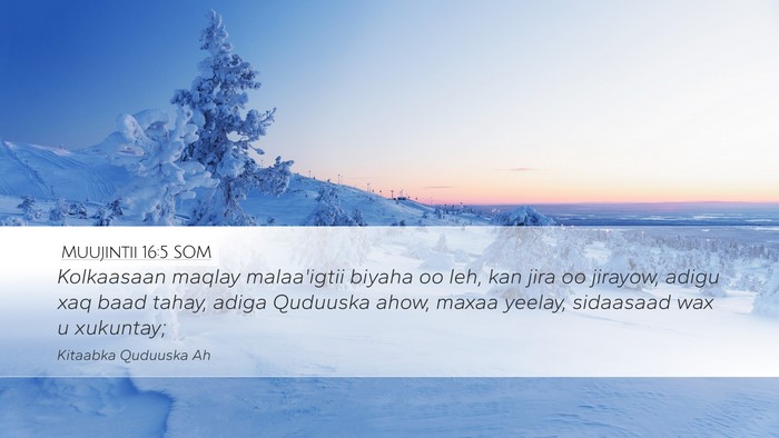Muujintii 16:5 SOM Bible Verse Image