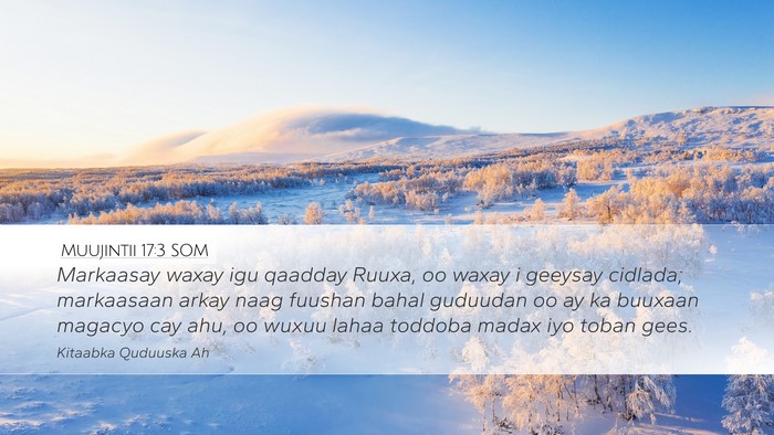 Muujintii 17:3 SOM Bible Verse Image