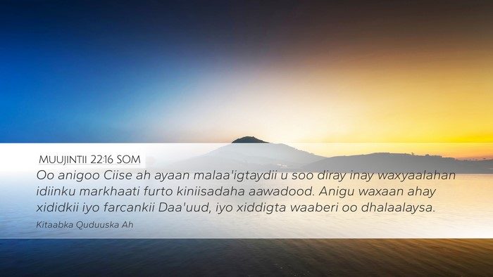 Muujintii 22:16 SOM Bible Verse Image
