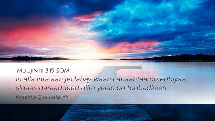 Muujintii 3:19 SOM Bible Verse Image