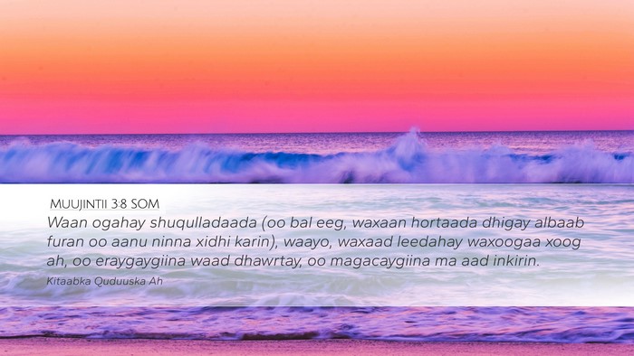 Muujintii 3:8 SOM Bible Verse Image