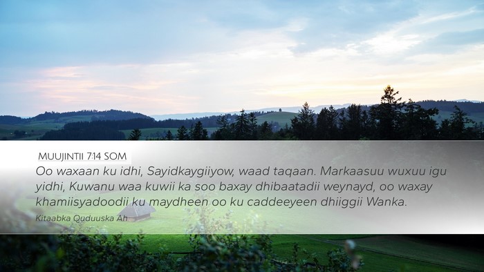 Muujintii 7:14 SOM Bible Verse Image