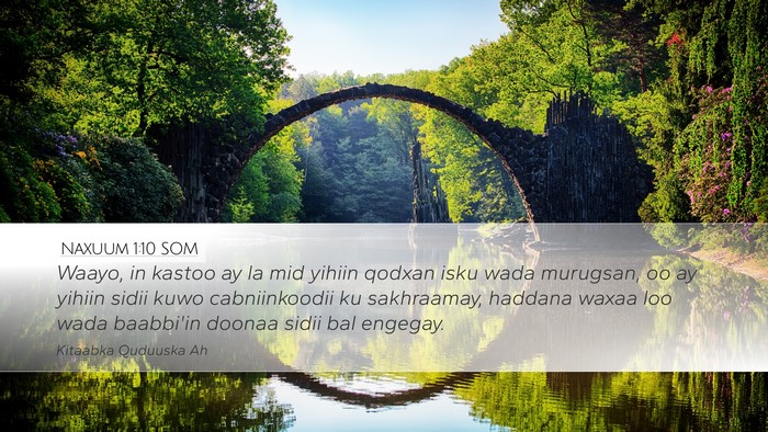 Naxuum 1:10 SOM Bible Verse Image