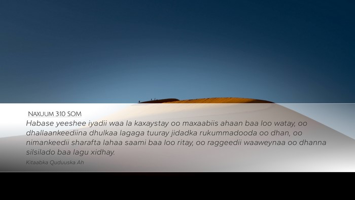 Naxuum 3:10 SOM Bible Verse Image