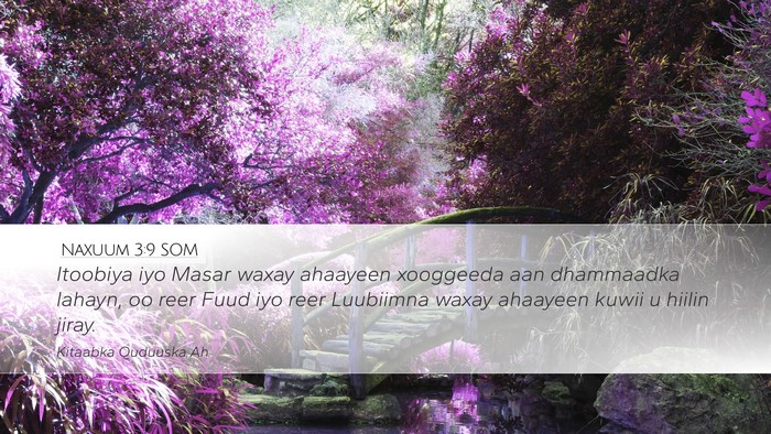 Naxuum 3:9 SOM Bible Verse Image