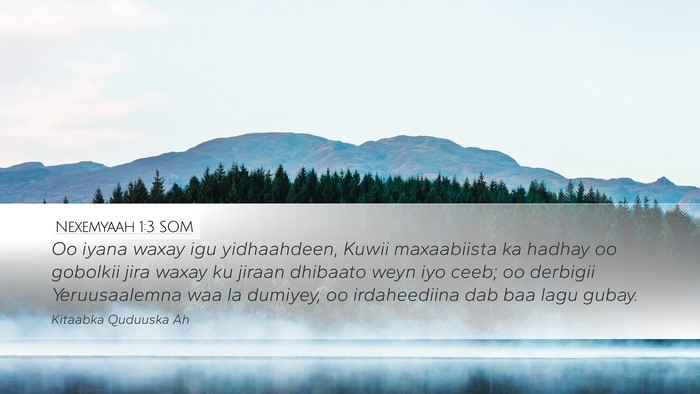 Nexemyaah 1:3 SOM Bible Verse Image