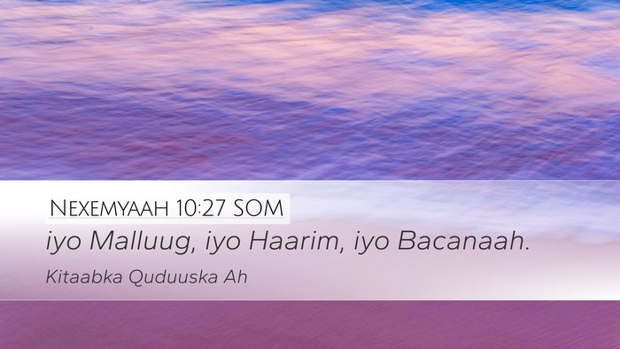 Nexemyaah 10:27 SOM Desktop Wallpaper - iyo Malluug, iyo Haarim, iyo - Desktop Bible Verse Wallpaper
