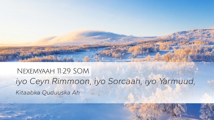 Nexemyaah 11:29 SOM Bible Verse Image