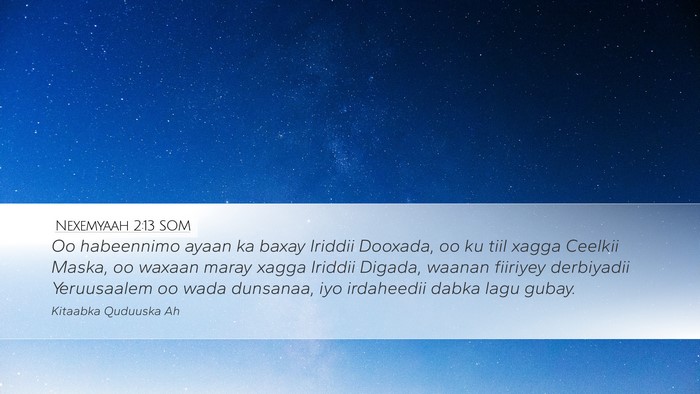 Nexemyaah 2:13 SOM Bible Verse Image