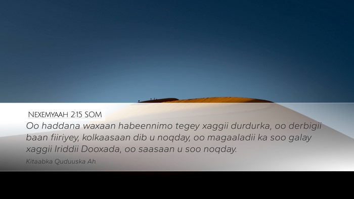 Nexemyaah 2:15 SOM Bible Verse Image