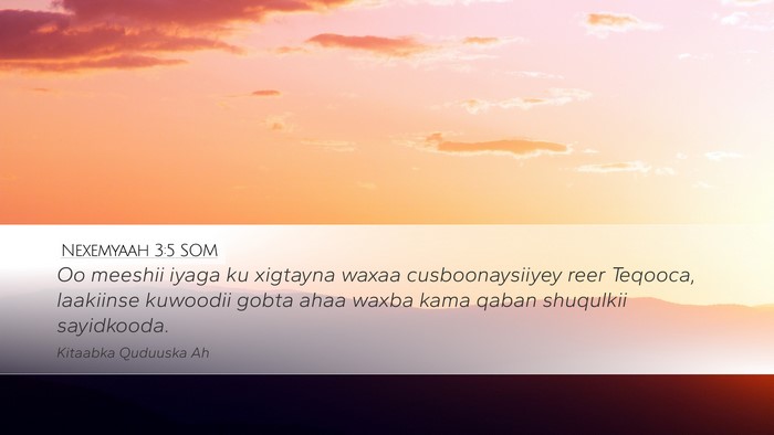Nexemyaah 3:5 SOM Bible Verse Image
