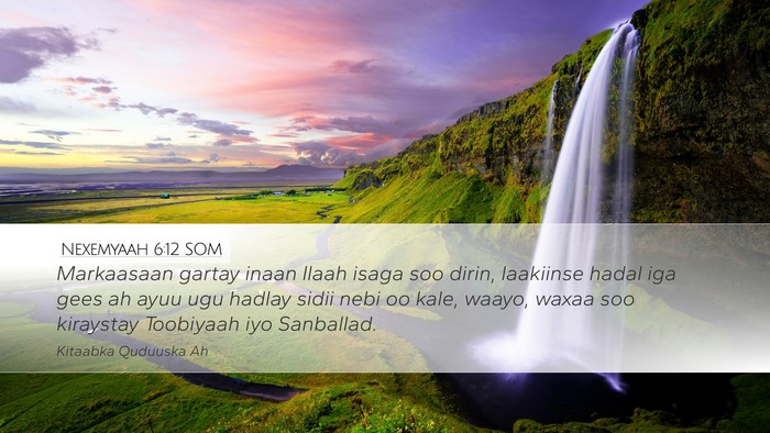 Nexemyaah 6:12 SOM Bible Verse Image