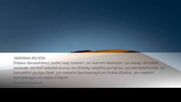 Nexemyaah 8:16 SOM Bible Verse Image