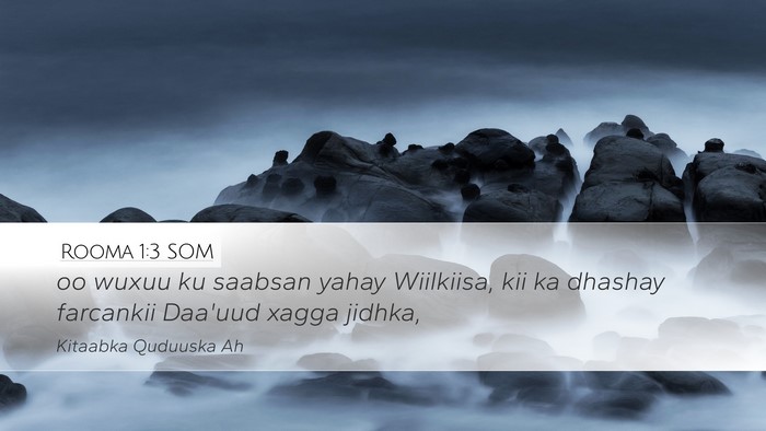 Rooma 1:3 SOM Bible Verse Image