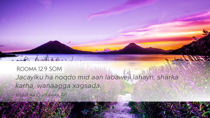 Rooma 12:9 SOM Bible Verse Image