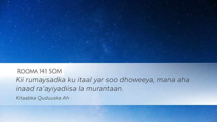 Rooma 14:1 SOM Bible Verse Image