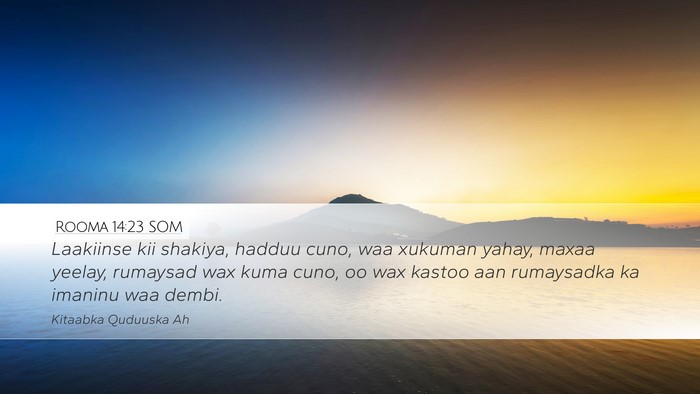 Rooma 14:23 SOM Bible Verse Image