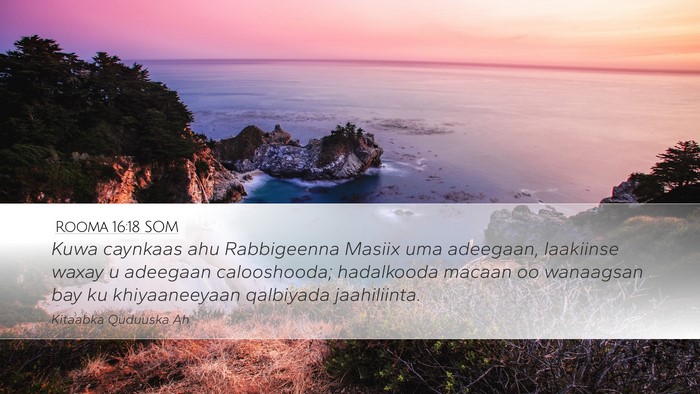 Rooma 16:18 SOM Bible Verse Image