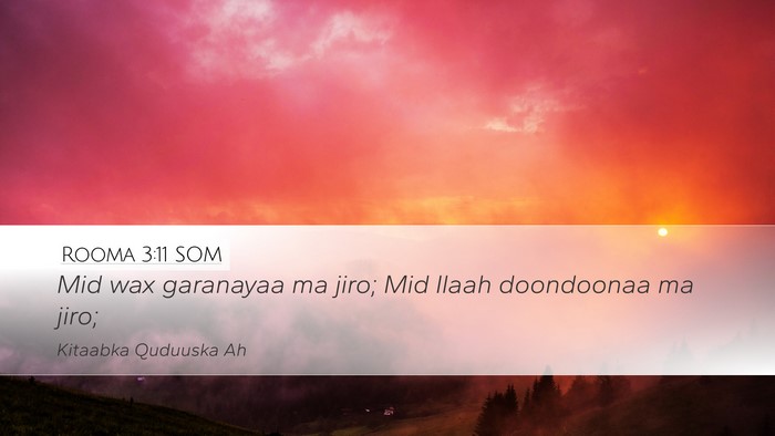 Rooma 3:11 SOM Bible Verse Image