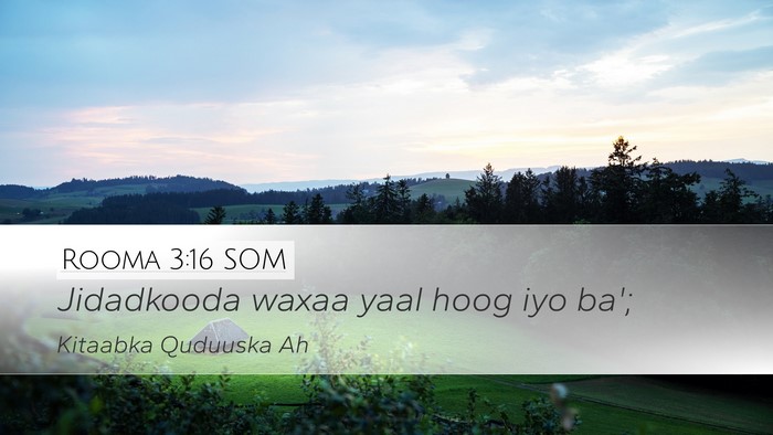 Rooma 3:16 SOM Desktop Wallpaper - Jidadkooda waxaa yaal hoog iyo - Desktop Bible Verse Wallpaper