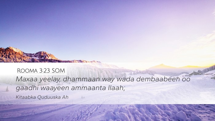 Rooma 3:23 SOM Bible Verse Image