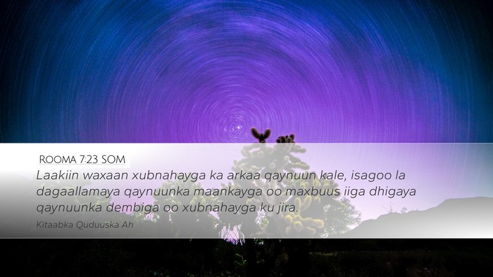 Rooma 7:23 SOM Bible Verse Image