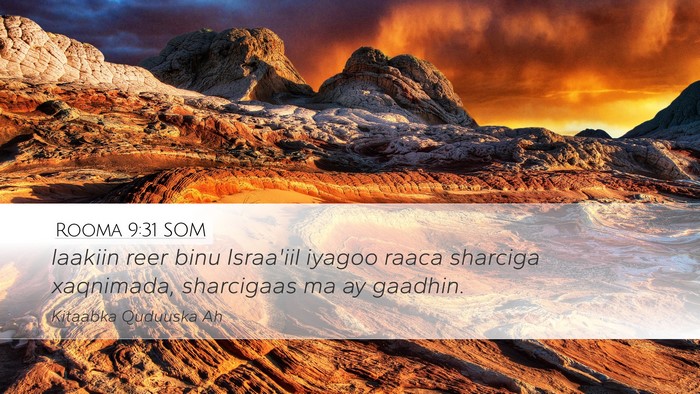 Rooma 9:31 SOM Bible Verse Image