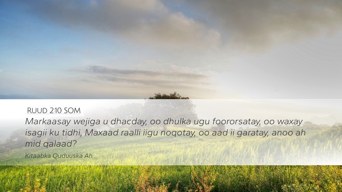 Ruud 2:10 SOM Bible Verse Image