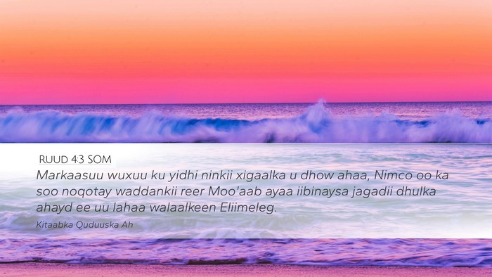 Ruud 4:3 SOM Bible Verse Image