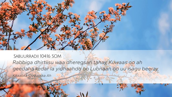Sabuurradii 104:16 SOM Bible Verse Image