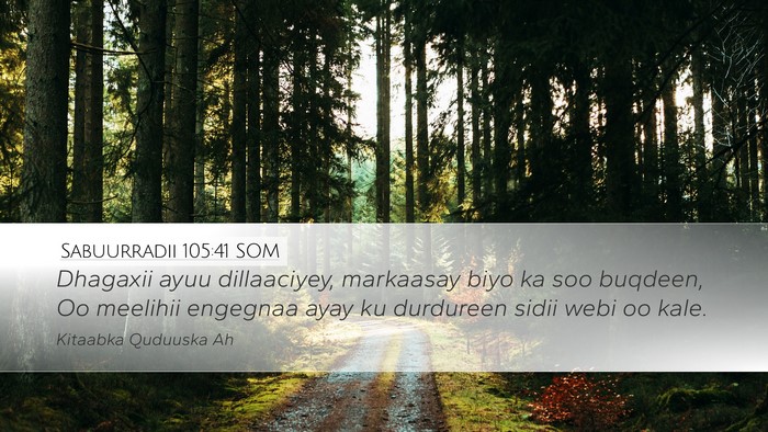Sabuurradii 105:41 SOM Bible Verse Image